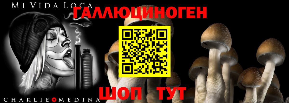 Кимовск  Псилоцибиновые грибы прущие грибы  Галлюциногенные грибы прущие грибы  Вход с VPN 