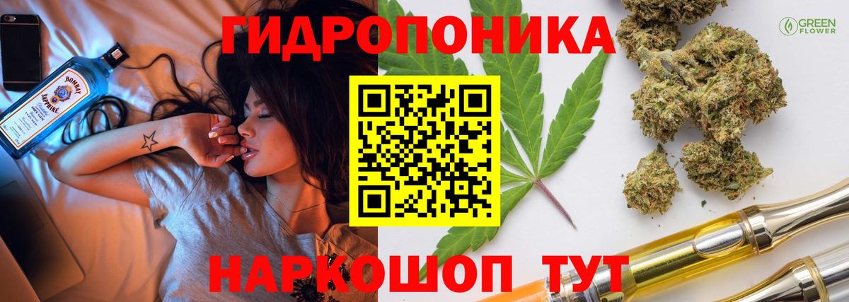 Конопля сатива  Вход с VPN  Шишки марихуана VHQ  Кимовск  Конопля Bruce Banner 